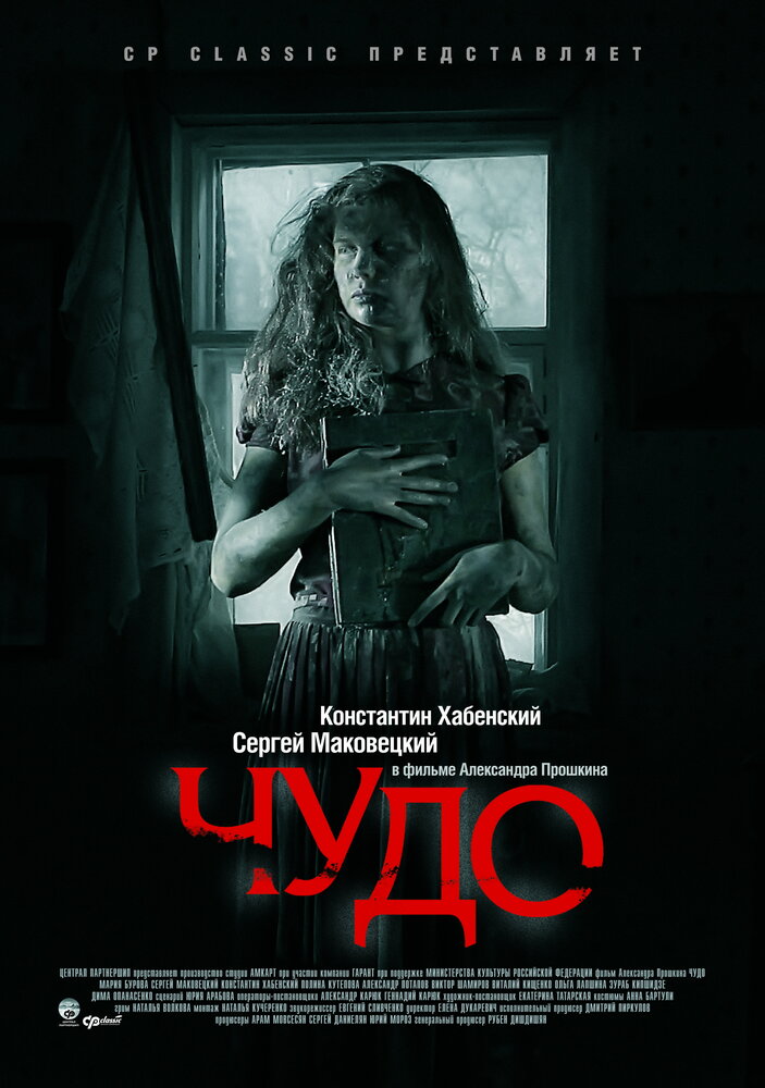 Чудо (2009) постер