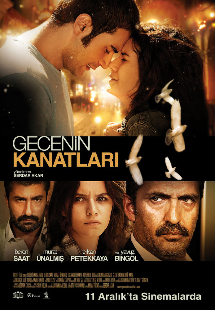 Крылья Гедже (2009) постер